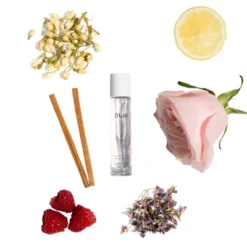 OUAI Travel North Bondi Eau De Parfum - 0.34 Fl Oz - Ulta Beauty -Pixi || Bumble and Bumble || American Crew Sales GUEST 00042da2 a406 4c4c 80a0 2ea41d787f75