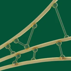 Nexxus Unbreakable Care For Fine & Thin Hair Root Lift Thickening Spray - 6 Fl Oz -Pixi || Bumble and Bumble || American Crew Sales GUEST 2eb46c2e 5a57 412e 8edf e2766ada9a69