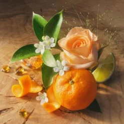 Being Frenshe Glow On Roll-On Fragrance With Essential Oils - Floral Citrus Amber - 0.84 Fl Oz 9 Being Frenshe Glow On Roll-On Fragrance With Essential Oils - Floral Citrus Amber - 0.84 Fl Oz -Pixi || Bumble and Bumble || American Crew Sales GUEST 41ae72fa 4259 45eb b902 bbc838ce8733