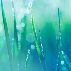 Clinique My Happy Indigo Mist Perfume Spray - 0.5 Fl Oz - Ulta Beauty -Pixi || Bumble and Bumble || American Crew Sales GUEST 76a48252 9e9d 4ecf b169 4a34ac6cf959