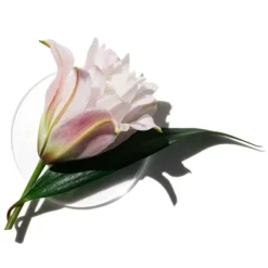 Clinique My Happy Lily Of The Beach Perfume Spray - 0.5 Fl Oz - Ulta Beauty