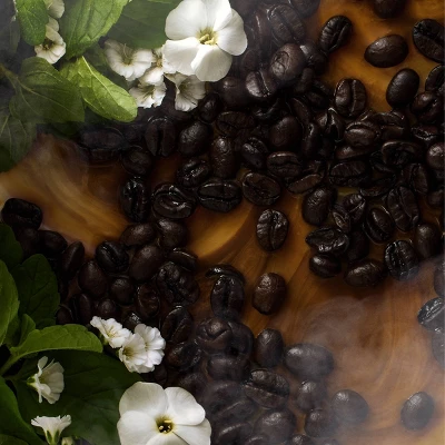 Fine'ry Body Mist Fragrance Spray - Midnight Cafe - 5.07 Fl Oz 4 Fine'ry Body Mist Fragrance Spray - Midnight Cafe - 5.07 Fl Oz - Image 4